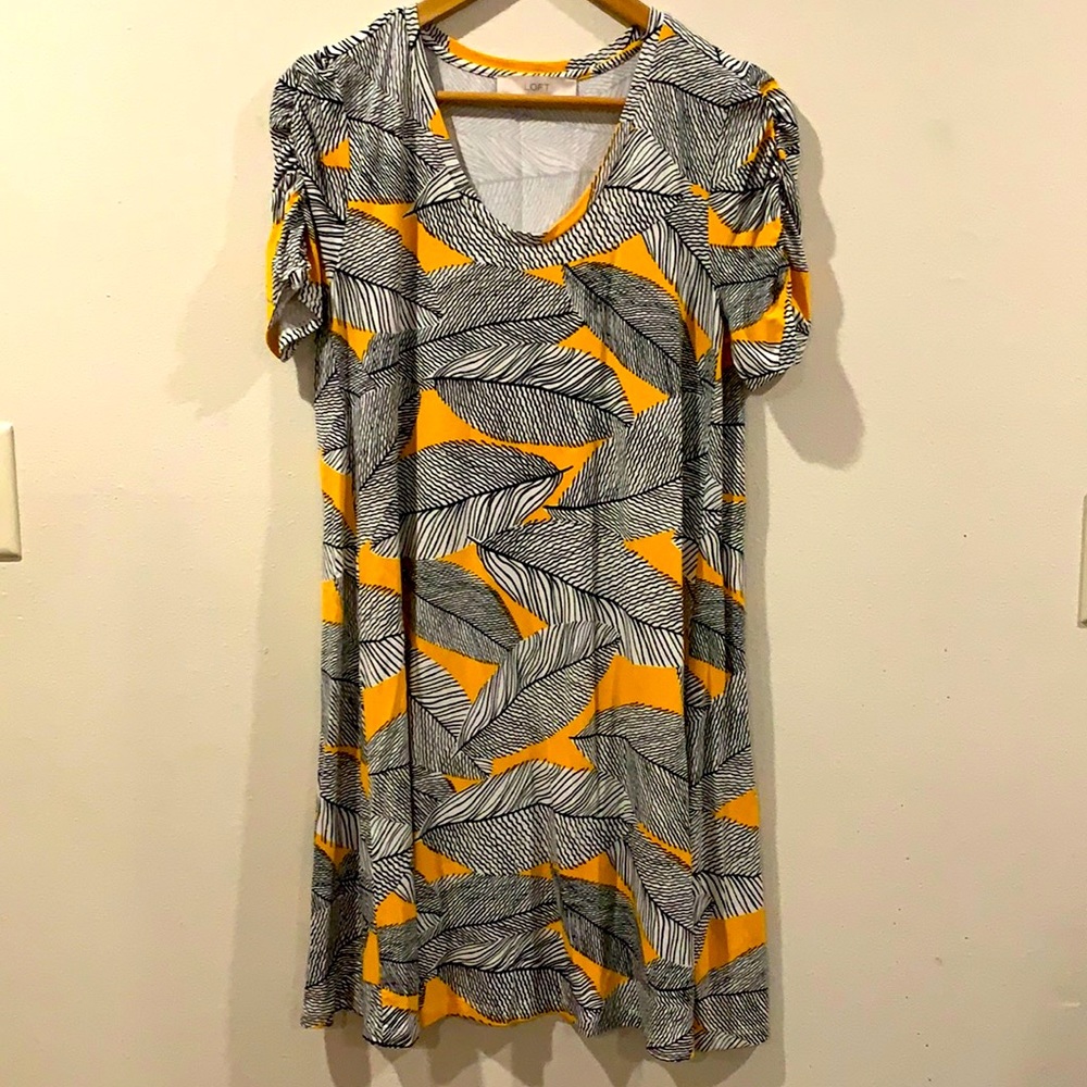 Loft woman’s dress : NWOT